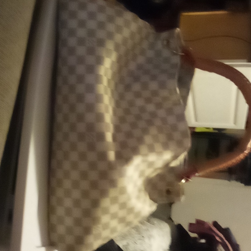 Louis Vuitton purse